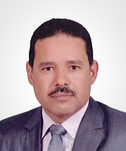 عادل محمد جودة محمد